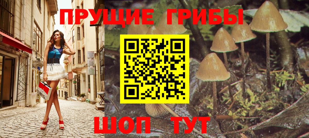 Галлюциногенные грибы MAGIC MUSHROOMS  Вход с VPN  Псилоцибиновые грибы Psilocybe  Городец 
