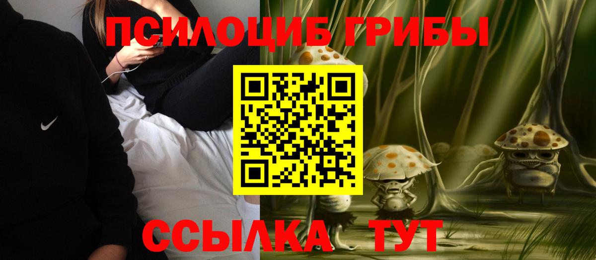 Псилоцибиновые грибы GOLDEN TEACHER Городец